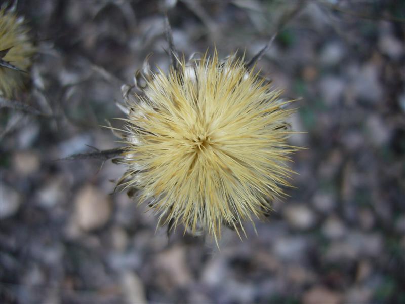 Qualche soggetto da identificare